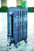 Daisy 2 Column Cast Iron Radiator