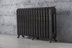 Daisy 2 Column Cast Iron Radiator