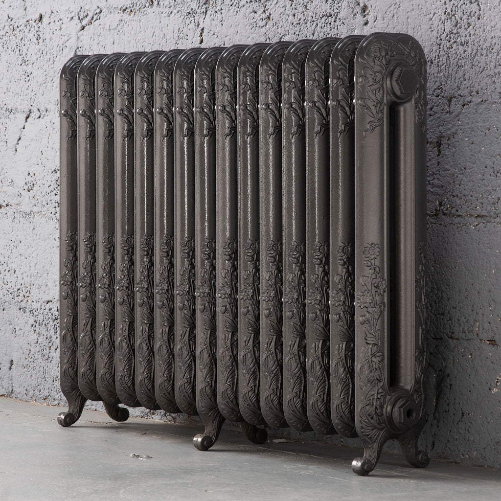 Daisy 2 Column Cast Iron Radiator