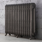 Daisy 2 Column Cast Iron Radiator