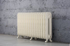Daisy 2 Column Cast Iron Radiator