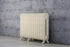 Daisy 2 Column Cast Iron Radiator