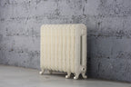 Daisy 2 Column Cast Iron Radiator