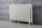 Daisy 2 Column Cast Iron Radiator