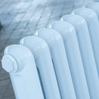 Princess 1 Column Cast Iron Radiator