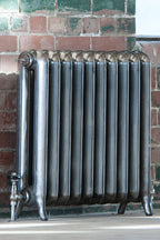 Princess 2 Column Cast Iron Radiator